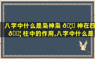 八字中什么是枭神枭 🦊 神在四 🐦 柱中的作用,八字中什么是枭神枭神在四柱中的作用呢